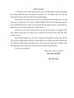 Giải pháp đẩy mạnh hoạt động tiêu thụ sản phẩm tại công ty TNHH thương mại  dịch vụ hùng hà 