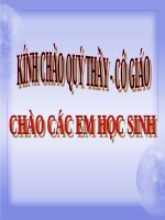 Bài 38. Bài tiết và cấu tạo hệ bài tiết nước tiểu