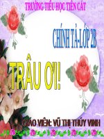 Tuần 16. Nghe-viết: Trâu ơi!