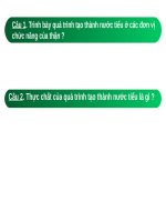 Bài 40. Vệ sinh hệ bài tiết nước tiểu