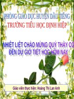 Tuần 19. Chữ hoa: P