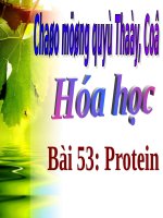 Bài 53. Protein