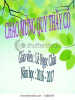 Bài 13. Máu và môi trường trong cơ thể