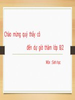 Bài 60. Cơ quan sinh dục nam