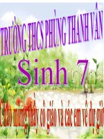 Bài 7. Đặc điểm chung và vai trò thực tiễn của Động vật nguyên sinh