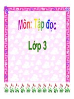 TD luon nghi ve mien nam 