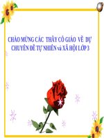 Bài 1. Đặc điểm của cơ thế sống