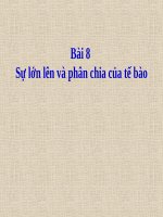 Bài 8. Sự lớn lên và phân chia của tế bào