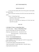 Phân tích và so sánh chiến lược marketing của cty xi măng hoàng thạch và các đối thủ trên thị trường