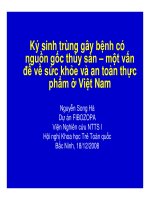 SH FIBO RIA1 SYMP 18 12 08 