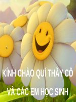 Bài 32. Hiđro sunfua - Lưu huỳnh đioxit