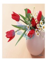 CT que huong ruot thit 