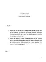 Phần phân tích chiến lược marketing của công ty nước giải khát 