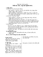 Bộ giáo án môn tập đọc lớp 3 tuan 21 