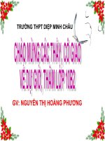 Bài 9. Tế bào nhân thực (tiếp theo)