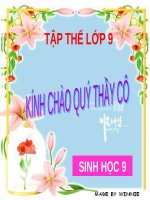 Bài 58. Sử dụng hợp lí tài nguyên thiên nhiên