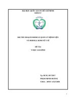 Bài luận y học gia đình