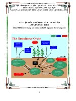 BAI TAP MOI TRUONG VA CON NGUOI CO DAP AN