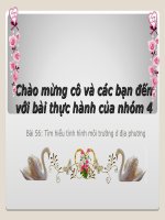 Bài 56. Thực hành: Tìm hiểu tình hình môi trường ở địa phương