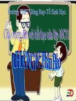 Bài 20. Thực hành: Quan sát các kỳ của nguyên phân trên tiêu bản rễ hành