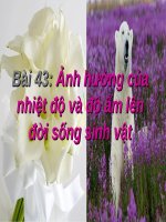 Bài 43. Ảnh hưởng của nhiệt độ và độ ẩm lên đời sống sinh vật