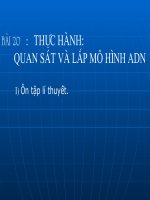 Bài 20. Thực hành: Quan sát và lắp mô hình ADN
