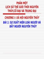 Bài 1. Sự xuất hiện loài người và bầy người nguyên thuỷ