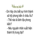 Bài 2. Sự suy vong của chế độ phong kiến và sự hình thành chủ nghĩa tư bản ở châu Âu