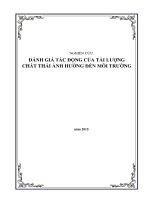 ĐÁNH GIÁ TÁC ĐỘNG Ô NHIỄM TẢI LƯỢNG KHU VỰC BÀ RỊA VŨNG TÀU