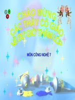 Bài 24. Gieo hạt và chăm sóc vườn gieo ươm cây rừng