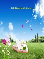 Bài 16. Thực hành: Đọc bản đồ (hoặc lược đồ) địa hình tỉ lệ lớn