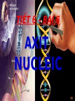 Bài 6. Axit nuclêic