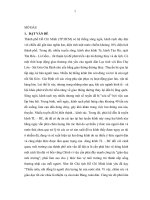 Xây dựng chương trình nâng cao nhận thức cho đối tượng thiếu nhi tại phường đông hưng thuận, quận 12 và phường 14 quận gò vấp trong công tác bảo vệ môi trường kênh tham lương   bến cát 