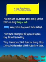 Bài 34. Quá trình tổng hợp các chất ở vi sinh vật và ứng dụng