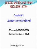 Bài 62. Dòng năng lượng trong hệ sinh thái