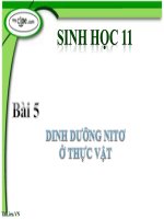 Bài 5. Châu Phi và khu vực Mĩ Latinh (Thế kỉ XIX - đầu thế kỉ XX)