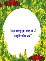 Bài 13. Nước Đại Việt ở thế kỉ XIII