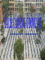 Bài 26. Cảm ứng ở động vật