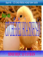 Bài 46. Cơ chế điều hòa sinh sản