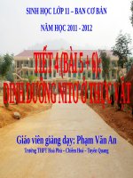 Bài 5. Dinh dưỡng nitơ ở thực vật