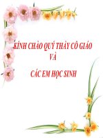 Bài 20. Cuộc kháng chiến toàn quốc chống thực dân Pháp kết thúc (1953 - 1954)