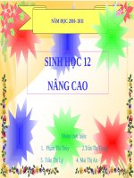 Bài 4. Đột biến gen