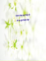 Bài 24. Tình hình văn hóa ở các thế kỷ XVI-XVIII