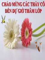 Bài 8. Quang hợp ở thực vật