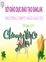 Bài 53. Các đặc trưng cơ bản của quần thể (tiếp theo)
