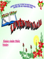 Tuần 22. MRVT: Từ ngữ về loài chim. Dấu chấm, dấu phẩy