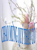 Bài 24. Tình hình văn hóa ở các thế kỷ XVI-XVIII