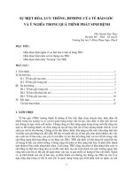 SỰ BIỆT HÓA, LƯU THÔNG, HOMING CỦA TẾ BÀO GỐC  VÀ Ý NGHĨA TRONG QUÁ TRÌNH PHÁT SINH BỆNH