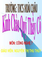 Bài 21. Luân canh, xen canh, tăng vụ