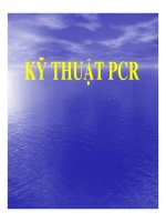 Kỹ thuật phân tử PCR